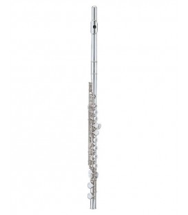 Flauta J. Michael FL250