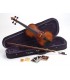 Carlo Giordano VS0 1/4 Violin