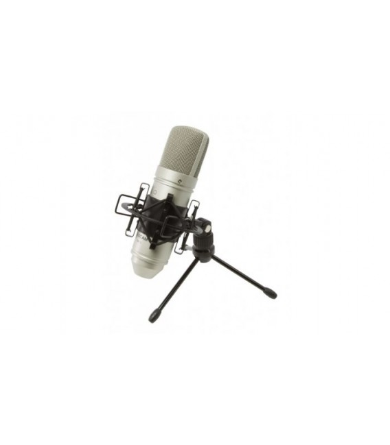 Micrófono de condensador Tascam TM-80