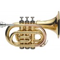 Trompeta de bolsillo J. Michael TR350 Lacada