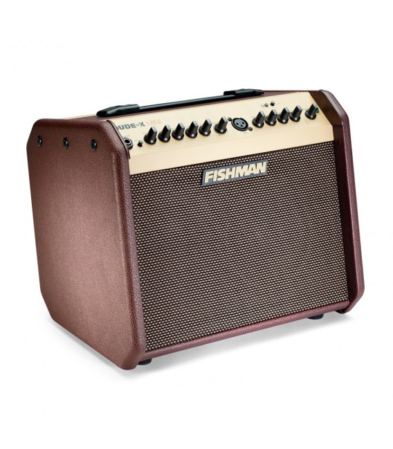 Amplificador Fishman Loudbox Mini